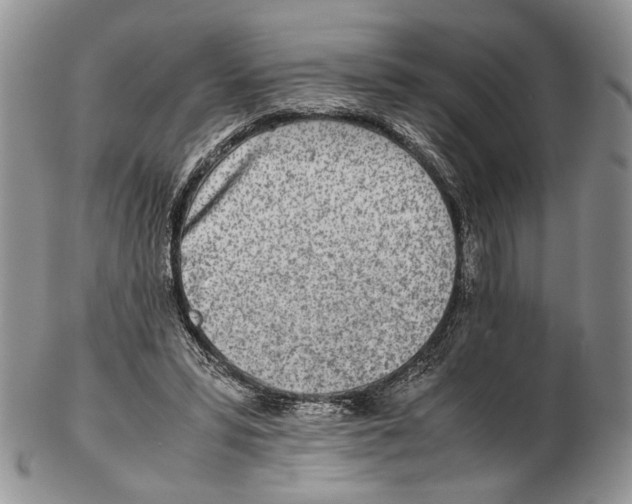 X0000102270399200808221442