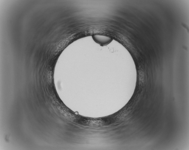 X0000102270401200808221442