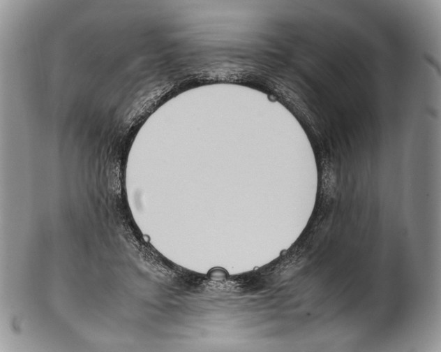 X0000102270403200808221442