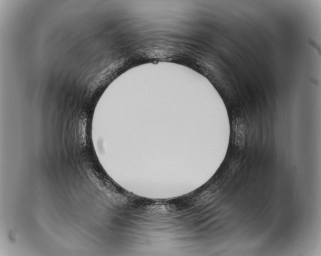 X0000102270404200808221442