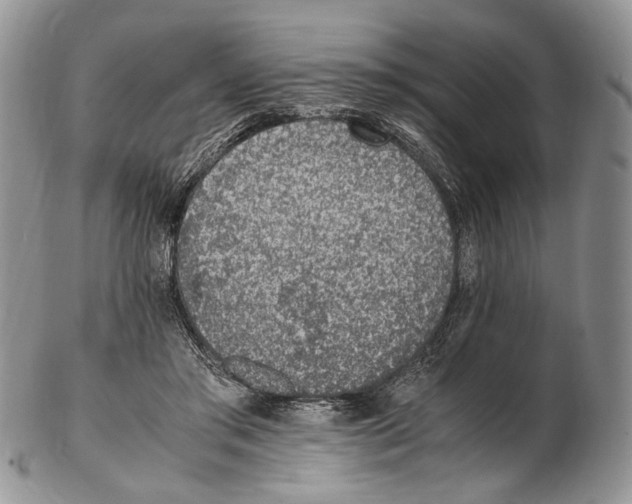 X0000102270405200808221442