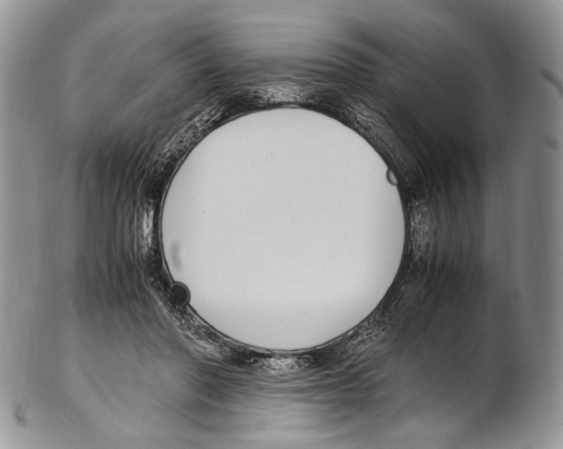 X0000102270406200808221442