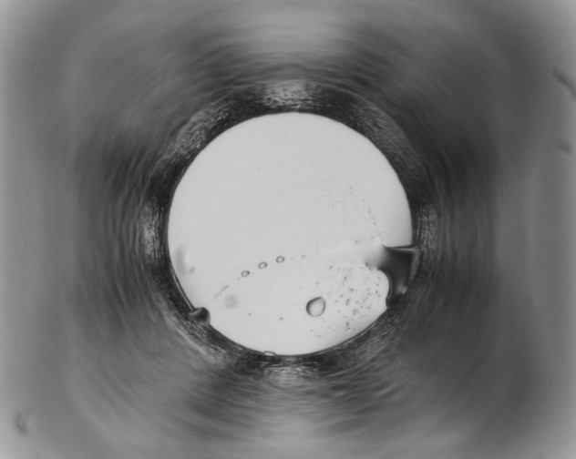 X0000102270408200808221442