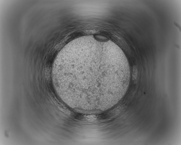 X0000102270409200808221442