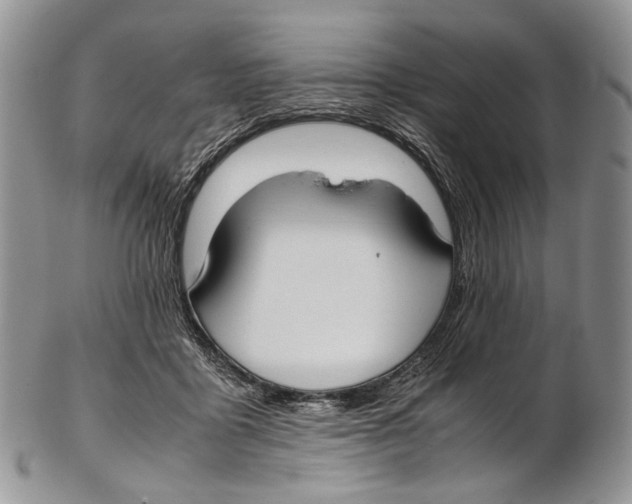 X0000102270411200808221442