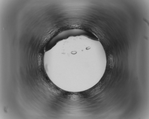 X0000102270412200808221442