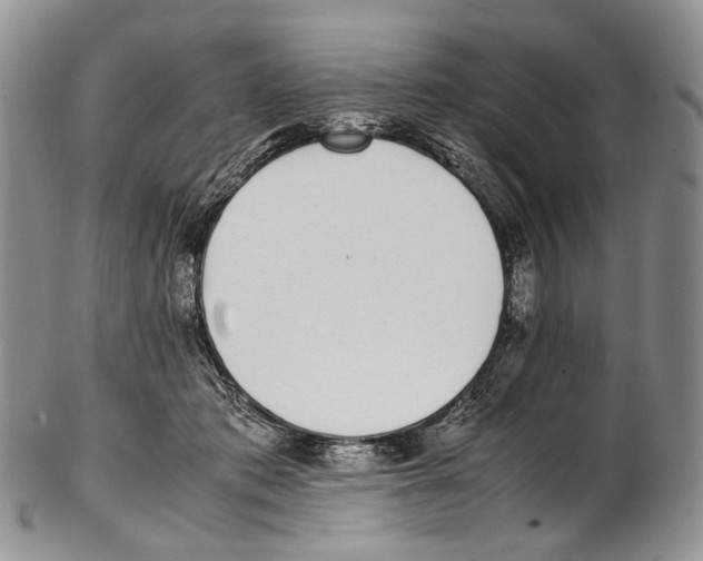 X0000102270413200808221442