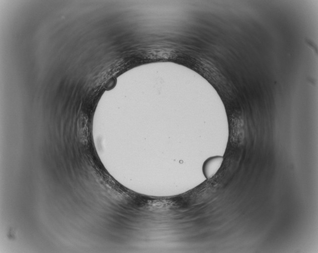 X0000102270414200808221442