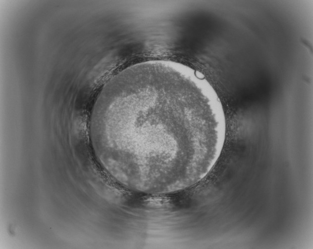 X0000102270415200808221442