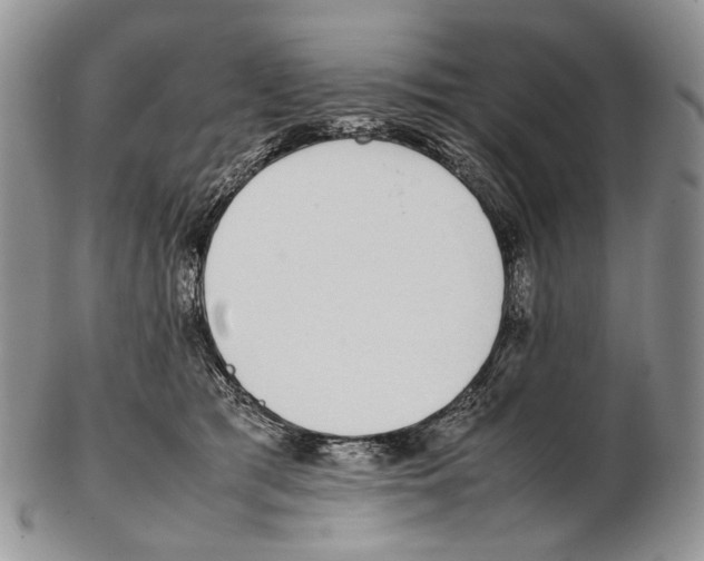 X0000102270417200808221442