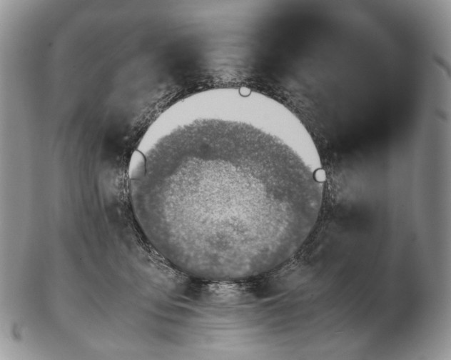 X0000102270419200808221442