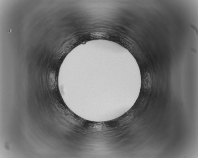 X0000102270420200808221442