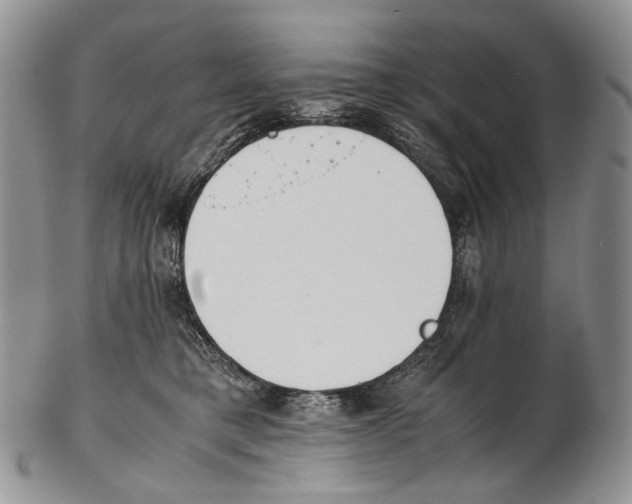 X0000102270421200808221442