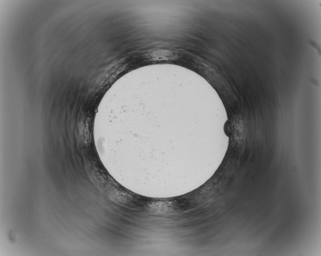 X0000102270422200808221442