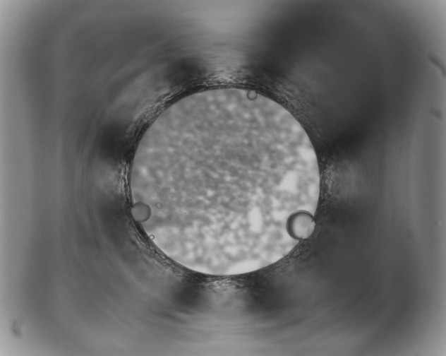 X0000102270423200808221442