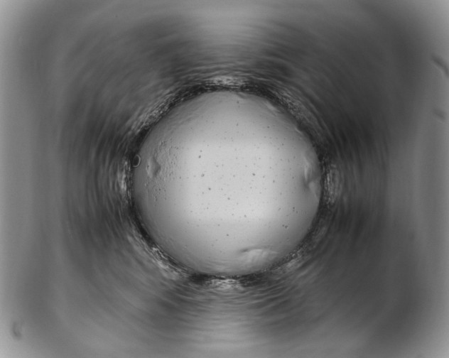 X0000102270424200808221442
