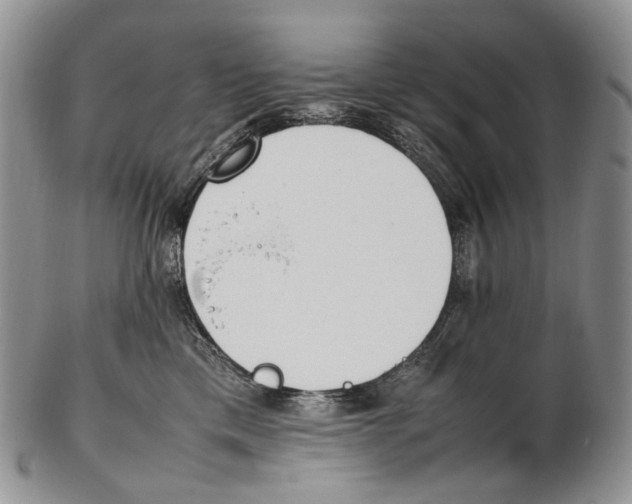 X0000102270425200808221442