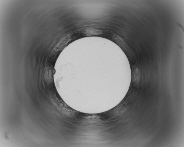 X0000102270426200808221442