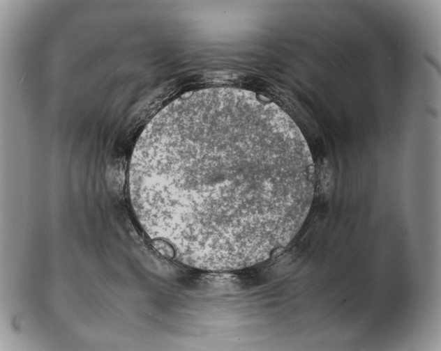 X0000102270427200808221442