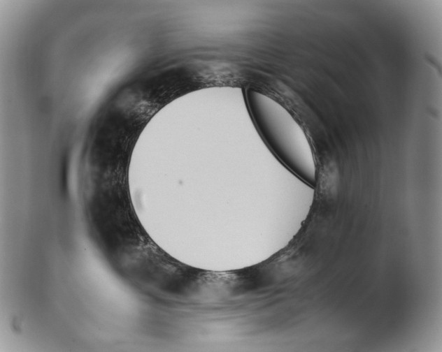 X0000102270429200808221442