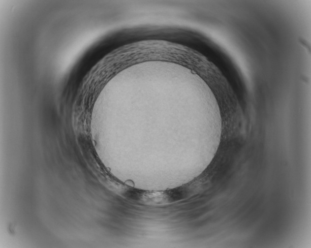 X0000102270431200808221442