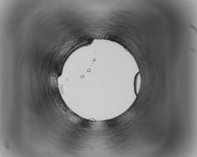 X0000102270432200808221442