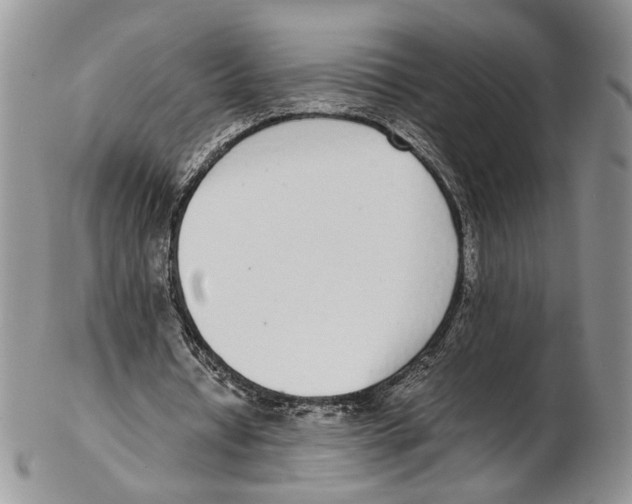 X0000102270434200808221441