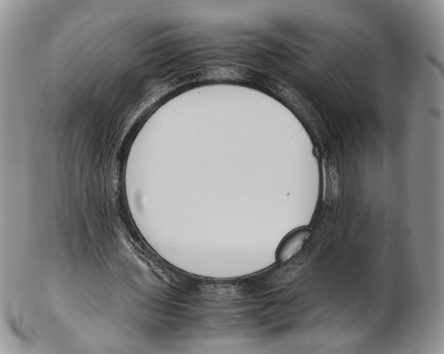 X0000102270435200808221441