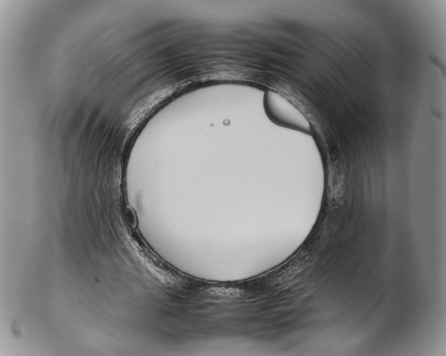 X0000102270437200808221441
