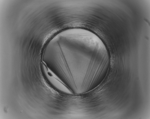 X0000102270438200808221441