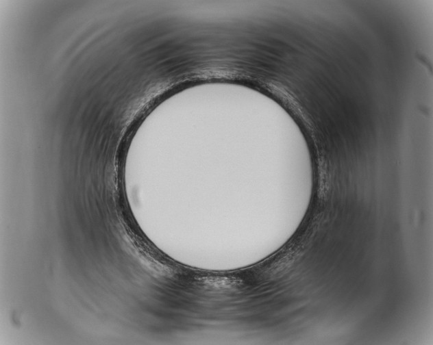 X0000102270439200808221441