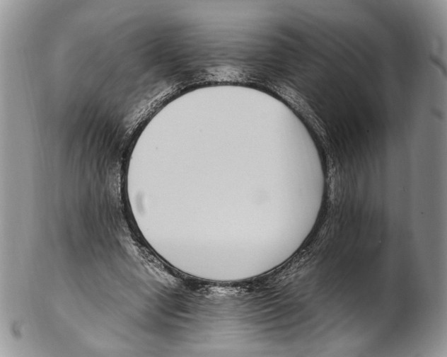 X0000102270442200808221441