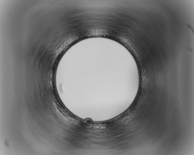 X0000102270443200808221441