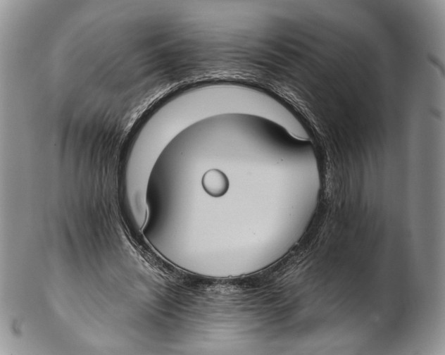 X0000102270444200808221441