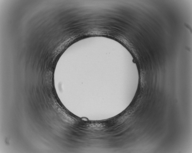 X0000102270445200808221441
