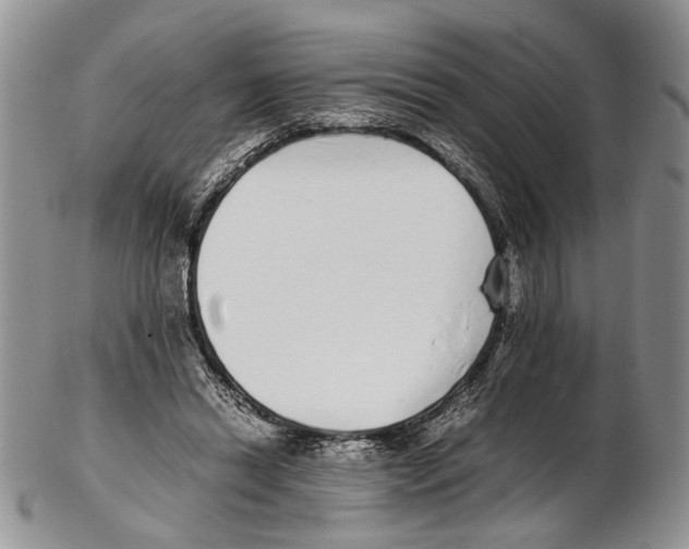 X0000102270446200808221441