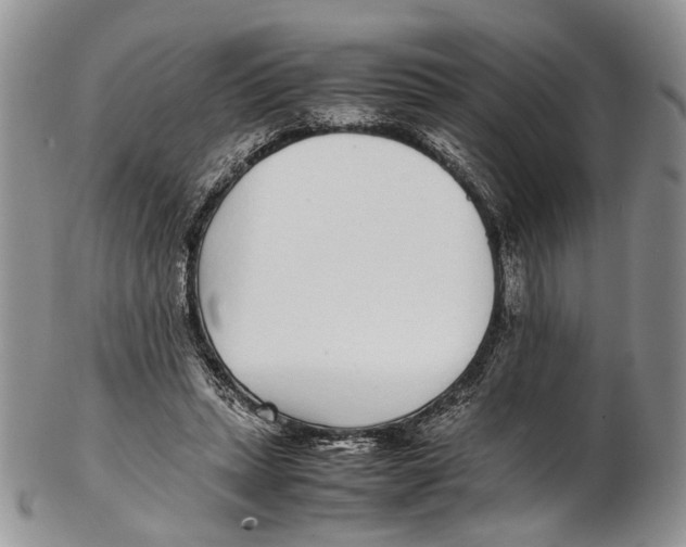 X0000102270447200808221441