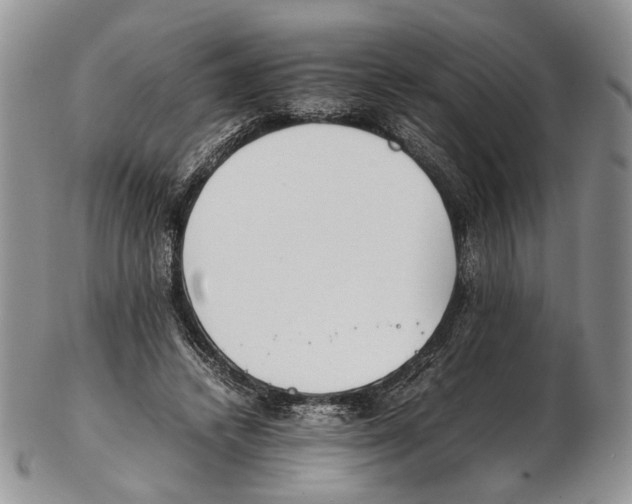 X0000102270448200808221441