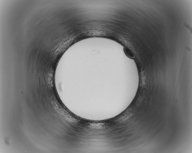 X0000102270450200808221441