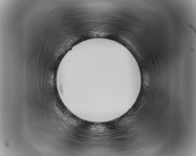X0000102270451200808221441