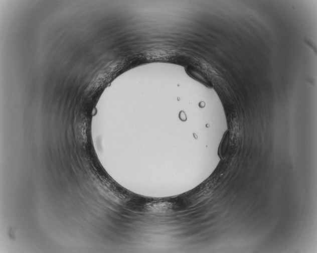 X0000102270452200808221441