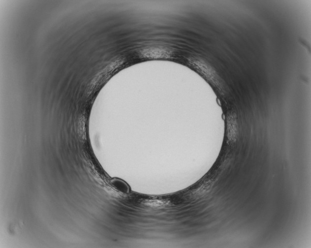 X0000102270453200808221441