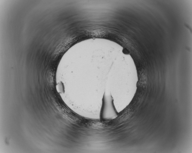 X0000102270456200808221441