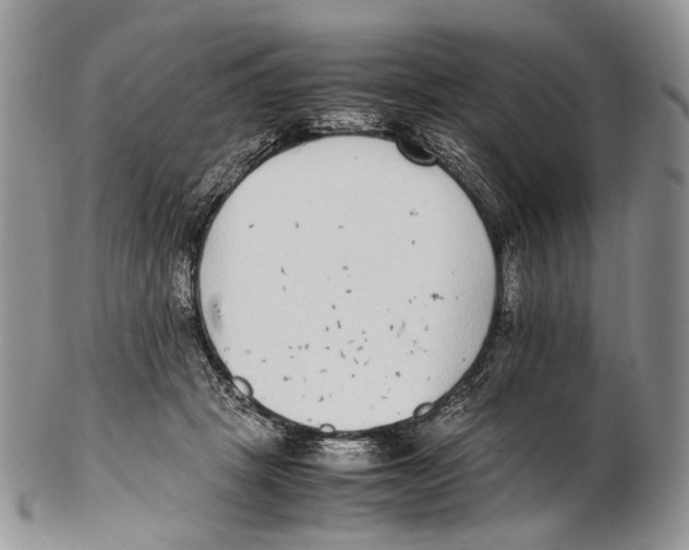 X0000102270457200808221441