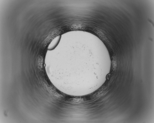 X0000102270458200808221441