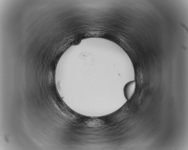 X0000102270459200808221441