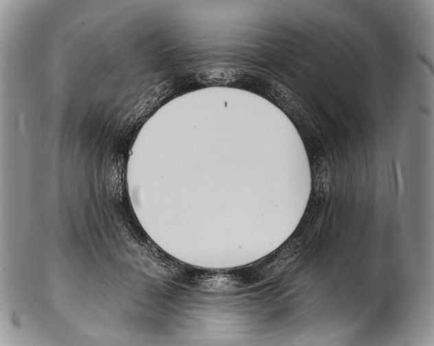 X0000102270460200808221441