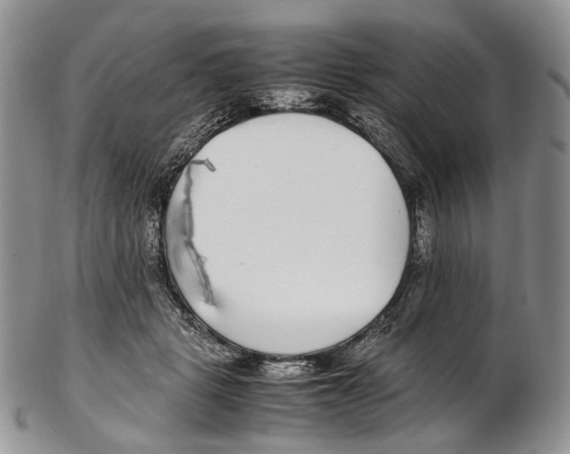 X0000102270461200808221441
