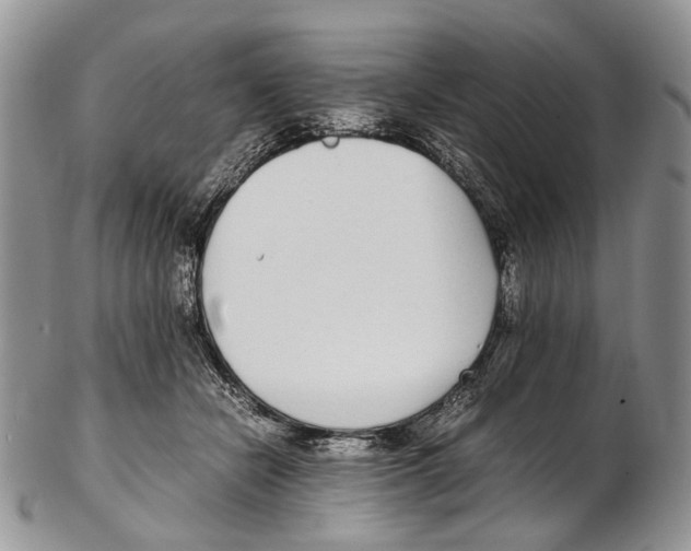 X0000102270462200808221441