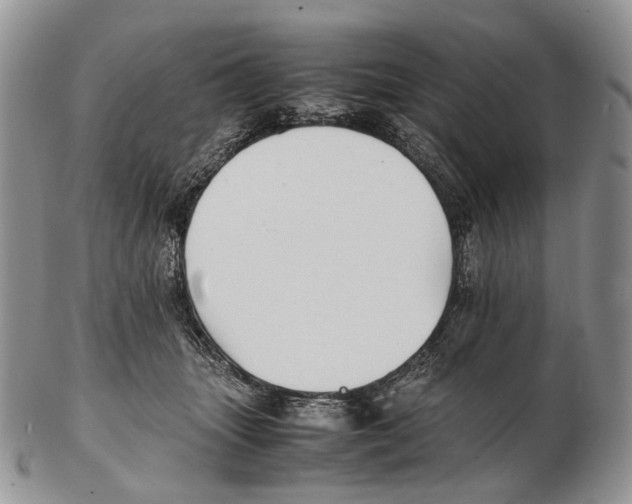 X0000102270463200808221441